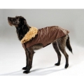 Dog Fashion Caro Step